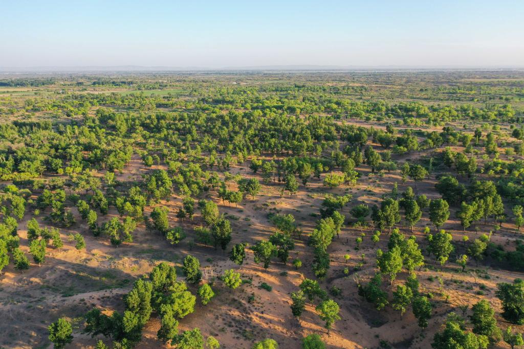 
上海胸科医院黄牛代挂号电话票贩子号贩子网上预约挂号,住院检查加快,解锁中国北部沙漠“绿进沙退”的密码