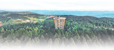 
北京大学第一医院黄牛代挂号电话票贩子号贩子网上预约挂号,住院检查加快,激活大山里的绿色宝库