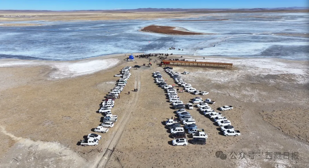 杭州市三医院黄牛代挂号电话票贩子号贩子网上预约挂号,住院检查加快,首届!来看西藏冰上运动会