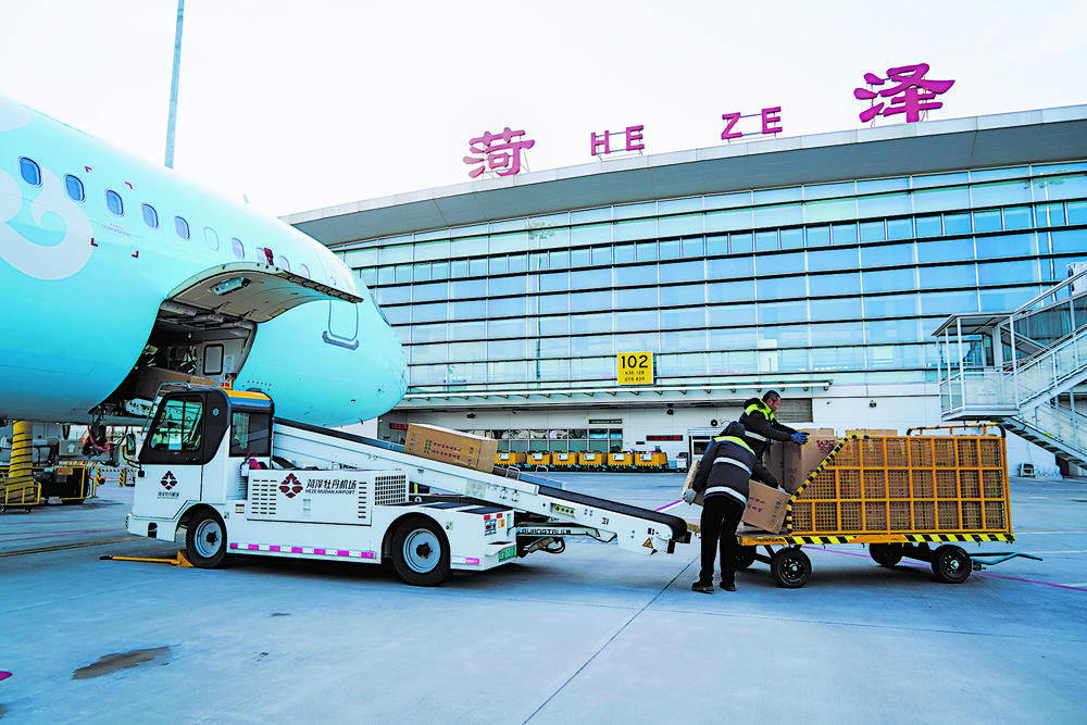 
上海儿童医院黄牛代挂号电话票贩子号贩子网上预约挂号,住院检查加快,春节遇上“国色天香” 看看年宵花里的“中式美学”