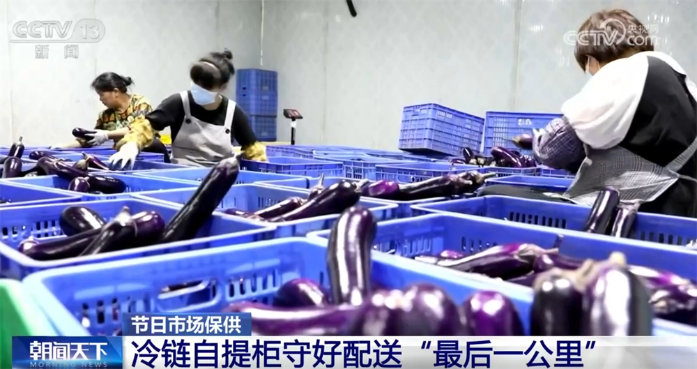 首都医科大学附属儿童医院黄牛代挂号电话票贩子号贩子网上预约挂号,住院检查加快,保障“米袋子”“菜篮子”物丰价稳 多部门做到精细入微、“新”中有“数”