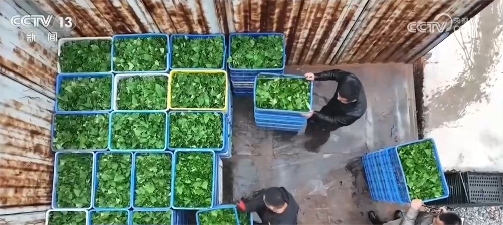 
北京广安门中医院黄牛代挂号电话票贩子号贩子网上预约挂号,住院检查加快,透过数字看2024年我国长江禁渔取得重要阶段性成效 生物多样性恢复向好