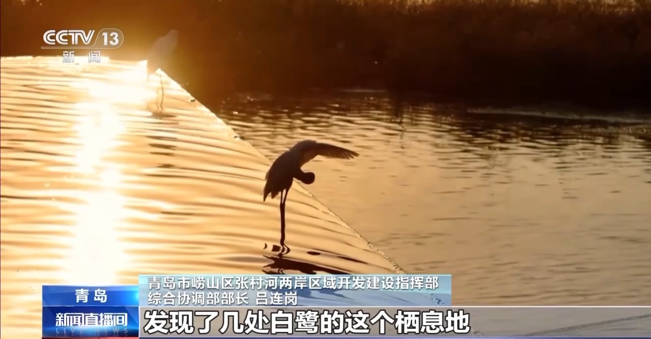 
回龙观医院黄牛代挂号电话票贩子号贩子网上预约挂号,住院检查加快,雨水花园、体育公园……带给市民“家门口的幸福”