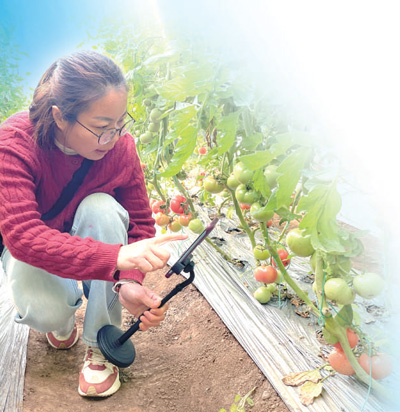 
南京各大医院黄牛代挂号电话票贩子号贩子网上预约挂号,住院检查加快,“希望我们的农产品被更多人看到”（体验）
