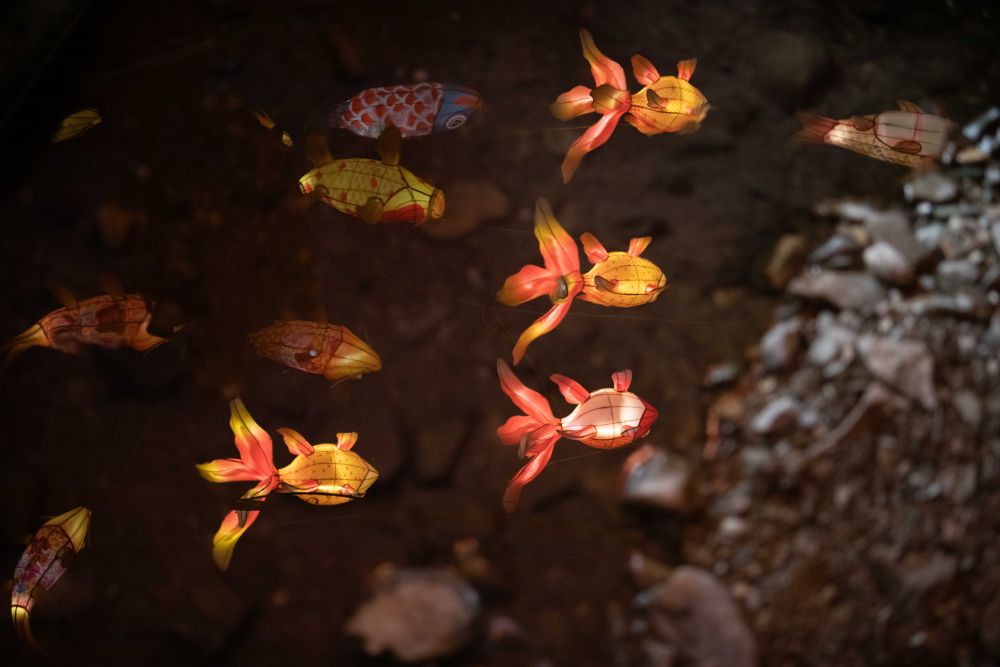 
广州市第一人民医院黄牛代挂号电话票贩子号贩子网上预约挂号,住院检查加快,文化中国行｜璀璨鱼灯焕发新生机