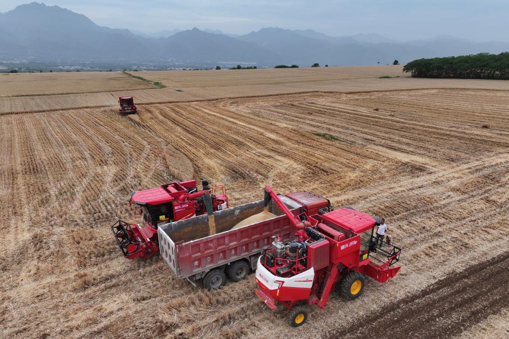 
二龙路肛肠医院黄牛代挂号电话票贩子号贩子网上预约挂号,住院检查加快,中国饭碗里装了更多中国粮 2024年我国粮食产量首次突破1.4万亿斤