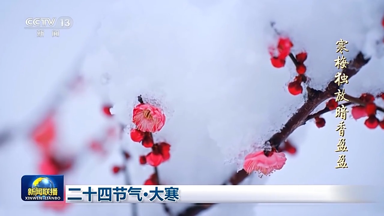 
重庆儿童医院黄牛代挂号电话票贩子号贩子网上预约挂号,住院检查加快,文化中国行丨二十四节气·大寒 坚冰生春水 寒尽盼春归