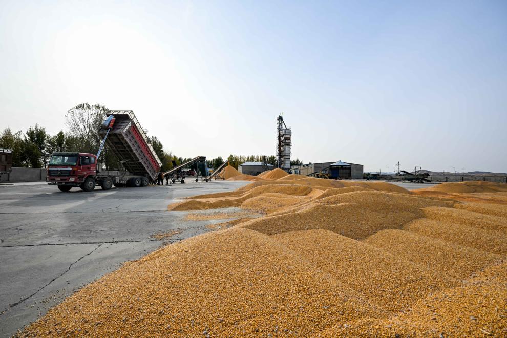 
二龙路肛肠医院黄牛代挂号电话票贩子号贩子网上预约挂号,住院检查加快,中国饭碗里装了更多中国粮 2024年我国粮食产量首次突破1.4万亿斤