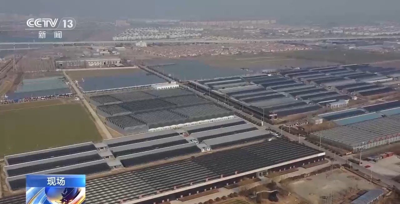 
中国中医科学院眼科医院黄牛代挂号电话票贩子号贩子网上预约挂号,住院检查加快,春节“氛围担当”登场 年宵花销售迎来旺季