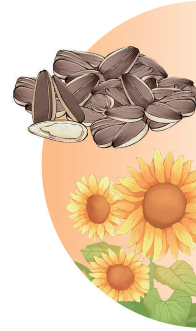 
上海精神卫生中心黄牛代挂号电话票贩子号贩子网上预约挂号,住院检查加快,融入年味的科普新知（把自然讲给你听·年味）