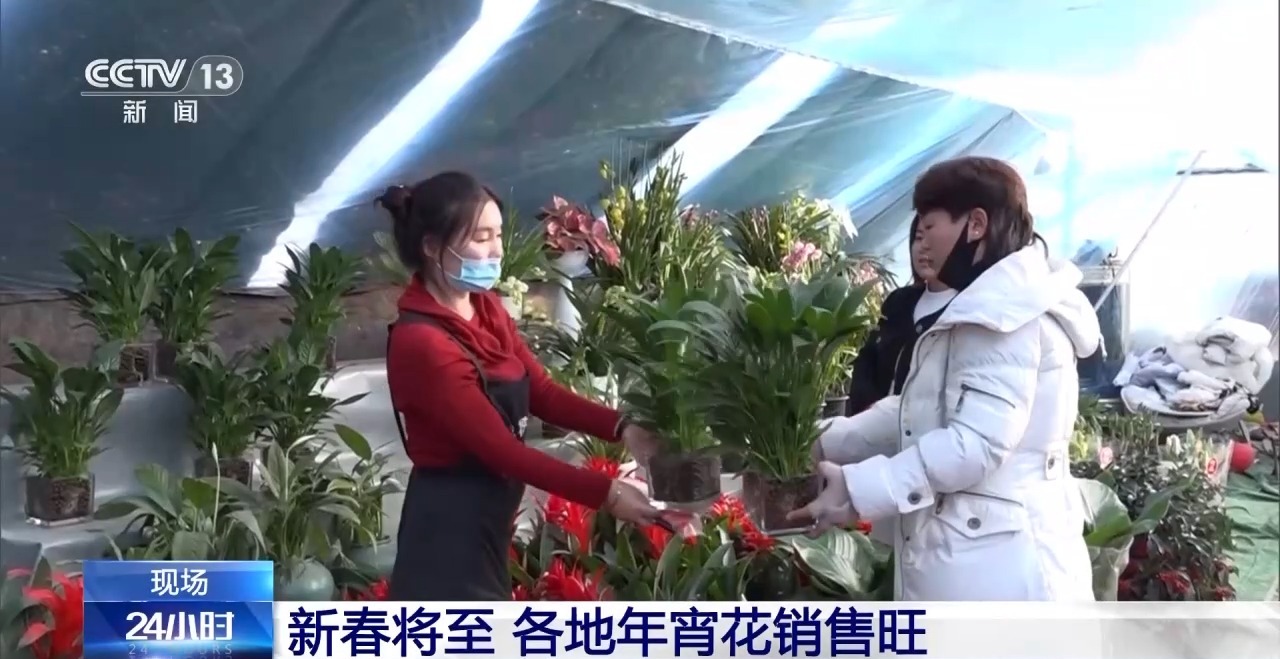 
中国中医科学院眼科医院黄牛代挂号电话票贩子号贩子网上预约挂号,住院检查加快,春节“氛围担当”登场 年宵花销售迎来旺季