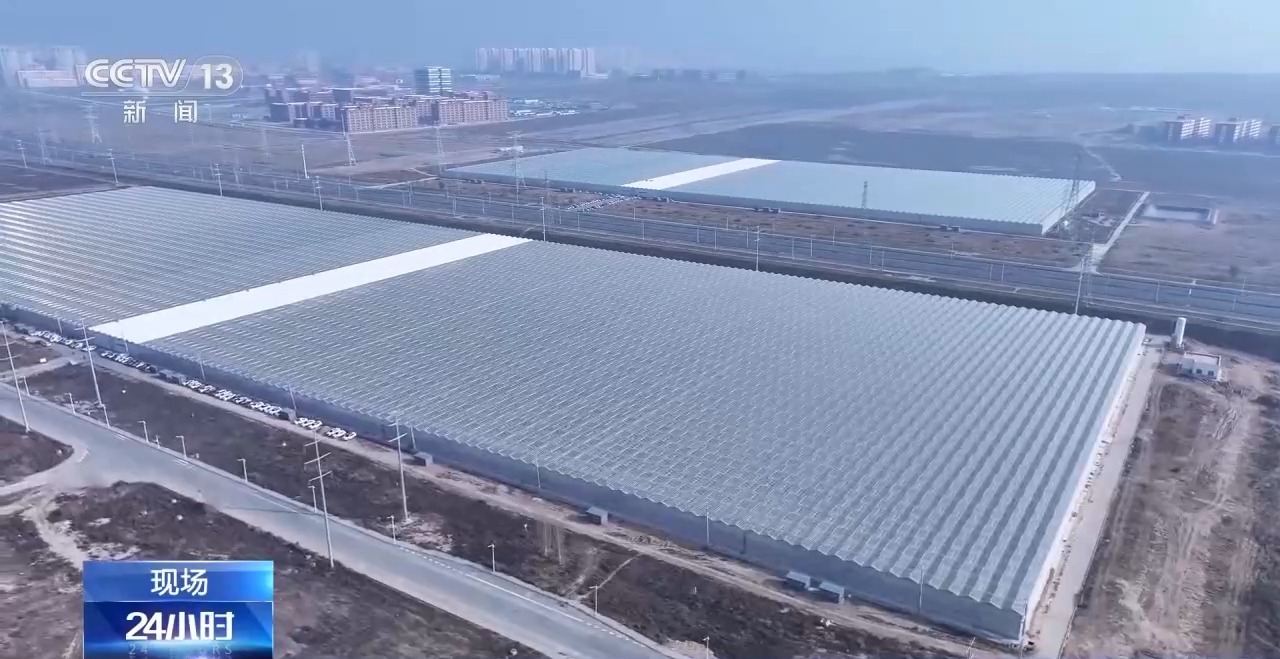 
中国中医科学院眼科医院黄牛代挂号电话票贩子号贩子网上预约挂号,住院检查加快,春节“氛围担当”登场 年宵花销售迎来旺季