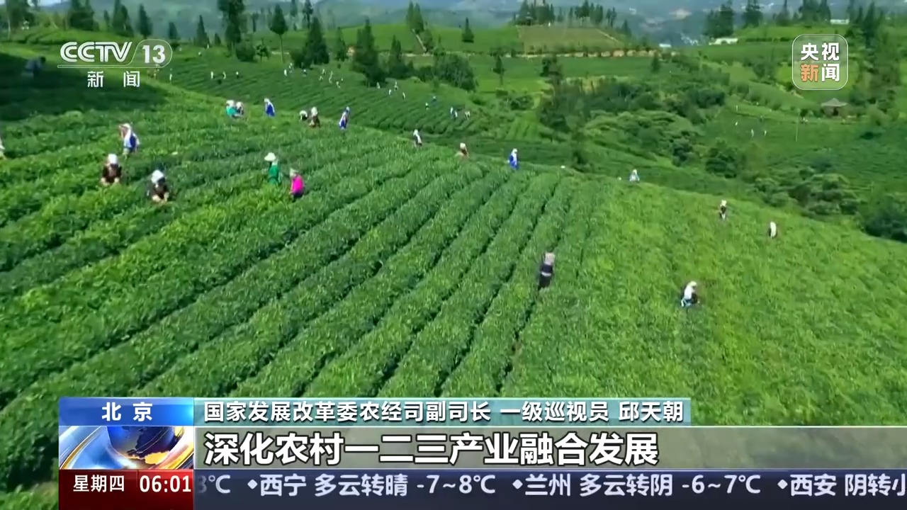 
北京阜外医院黄牛代挂号电话票贩子号贩子网上预约挂号,住院检查加快,如何进一步推动乡村产业高质量发展？有了更明确的方向指引