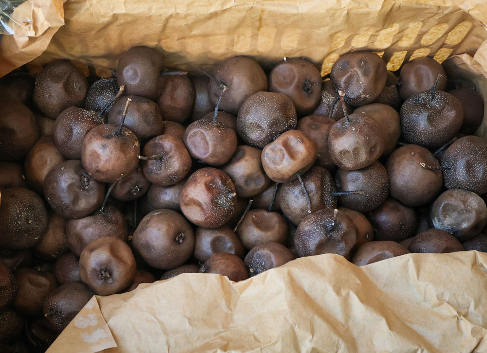 
广东省人民医院黄牛代挂号电话票贩子号贩子网上预约挂号,住院检查加快,第1视点｜暖暖新家暖暖年