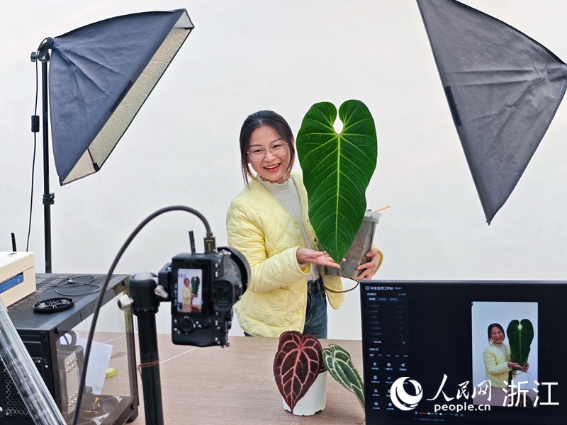 
北京大学第三医院黄牛代挂号电话票贩子号贩子网上预约挂号,住院检查加快,新春走基层丨“一片叶子”卖出千万元