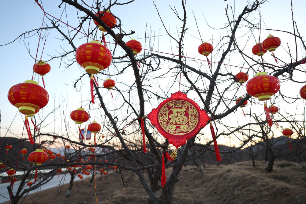
广东省人民医院黄牛代挂号电话票贩子号贩子网上预约挂号,住院检查加快,第1视点｜暖暖新家暖暖年