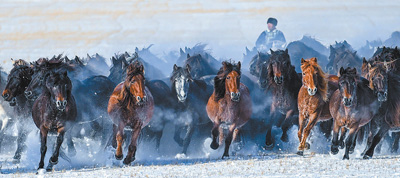 
广州肿瘤医院黄牛代挂号电话票贩子号贩子网上预约挂号,住院检查加快,冰雪热情撬动旅游活力（新时代画卷）