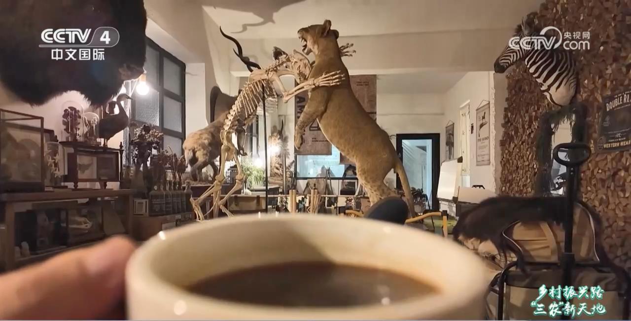 
长沙各大医院黄牛代挂号电话票贩子号贩子网上预约挂号,住院检查加快,一杯咖啡变身乡村振兴催化剂