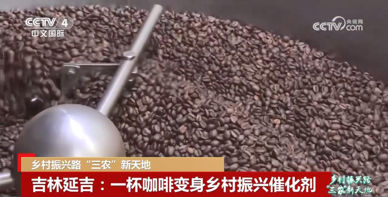 
长沙各大医院黄牛代挂号电话票贩子号贩子网上预约挂号,住院检查加快,一杯咖啡变身乡村振兴催化剂