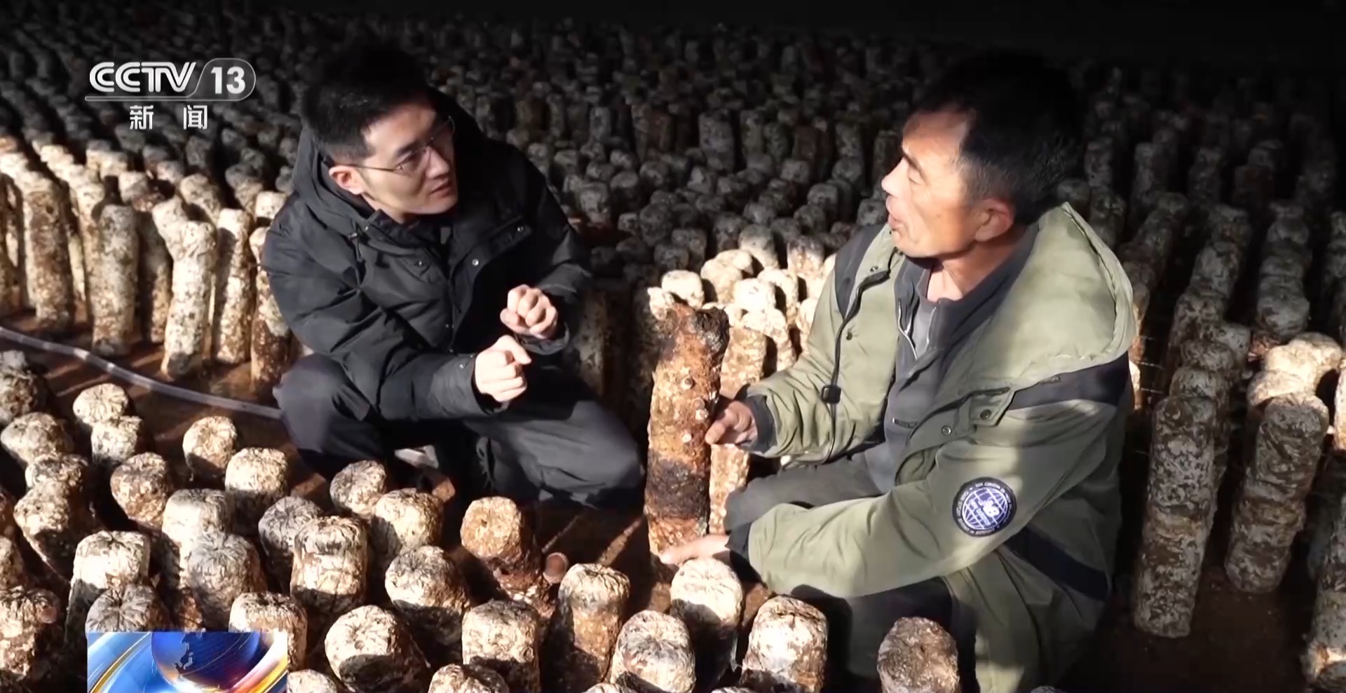 
杭州各大医院黄牛代挂号电话票贩子号贩子网上预约挂号,住院检查加快,新春走基层丨遭受重创→焕发生机 来看养马甸子乡香菇宝宝的重生日记