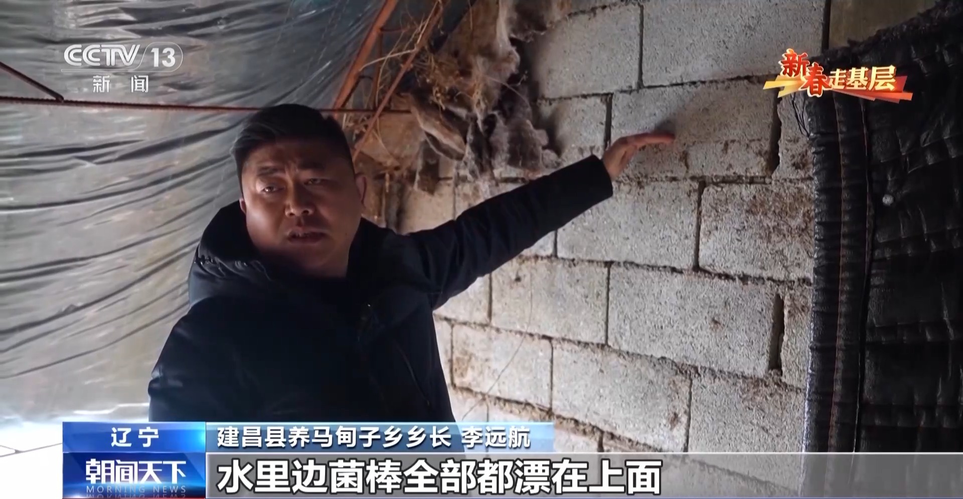 
杭州各大医院黄牛代挂号电话票贩子号贩子网上预约挂号,住院检查加快,新春走基层丨遭受重创→焕发生机 来看养马甸子乡香菇宝宝的重生日记