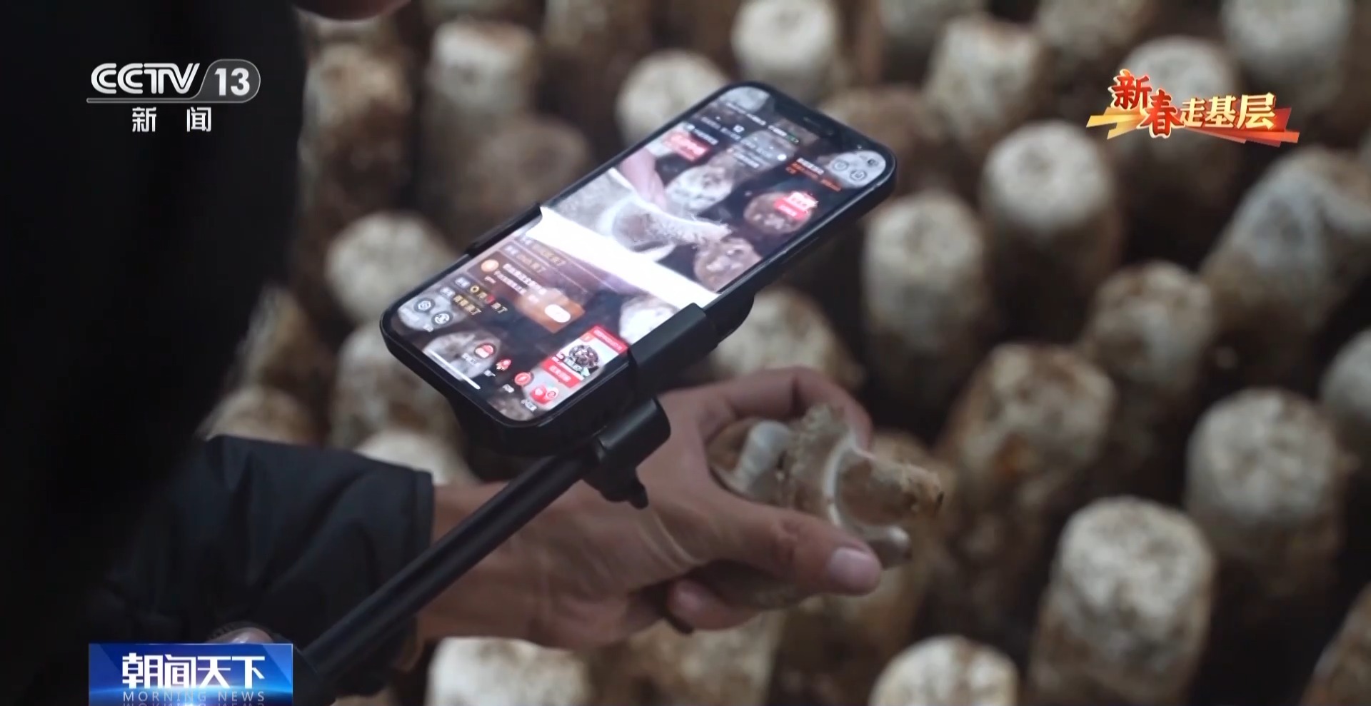 
杭州各大医院黄牛代挂号电话票贩子号贩子网上预约挂号,住院检查加快,新春走基层丨遭受重创→焕发生机 来看养马甸子乡香菇宝宝的重生日记