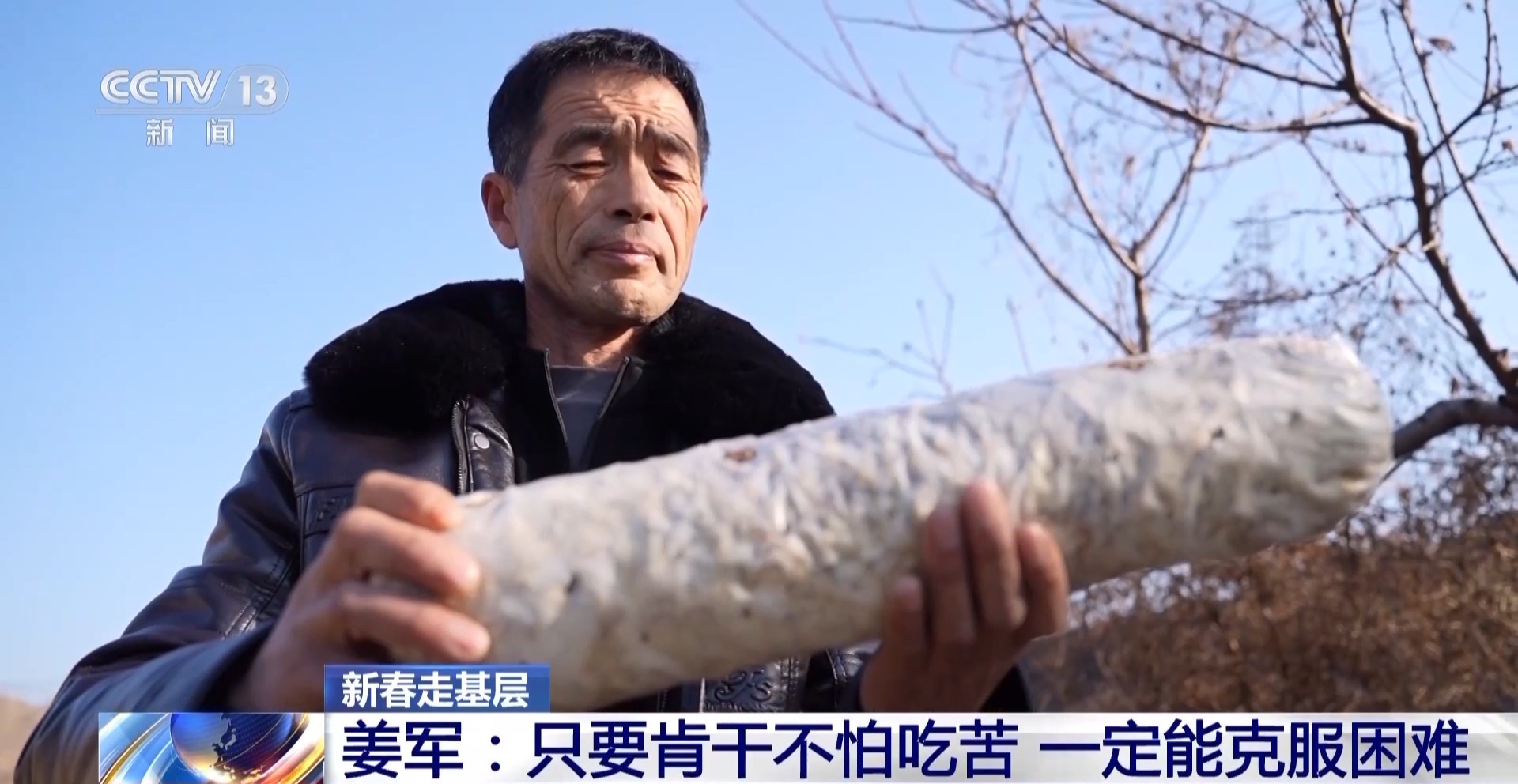 
杭州各大医院黄牛代挂号电话票贩子号贩子网上预约挂号,住院检查加快,新春走基层丨遭受重创→焕发生机 来看养马甸子乡香菇宝宝的重生日记