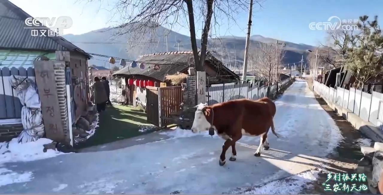 
长沙各大医院黄牛代挂号电话票贩子号贩子网上预约挂号,住院检查加快,一杯咖啡变身乡村振兴催化剂