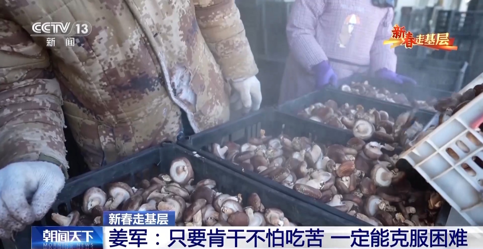 
杭州各大医院黄牛代挂号电话票贩子号贩子网上预约挂号,住院检查加快,新春走基层丨遭受重创→焕发生机 来看养马甸子乡香菇宝宝的重生日记