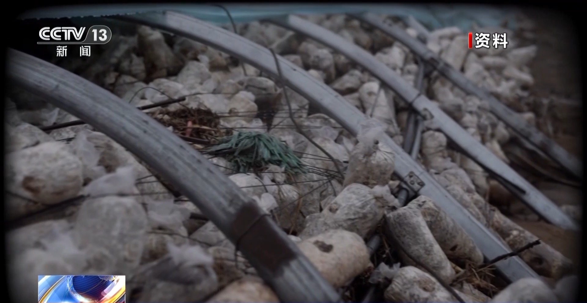 
杭州各大医院黄牛代挂号电话票贩子号贩子网上预约挂号,住院检查加快,新春走基层丨遭受重创→焕发生机 来看养马甸子乡香菇宝宝的重生日记