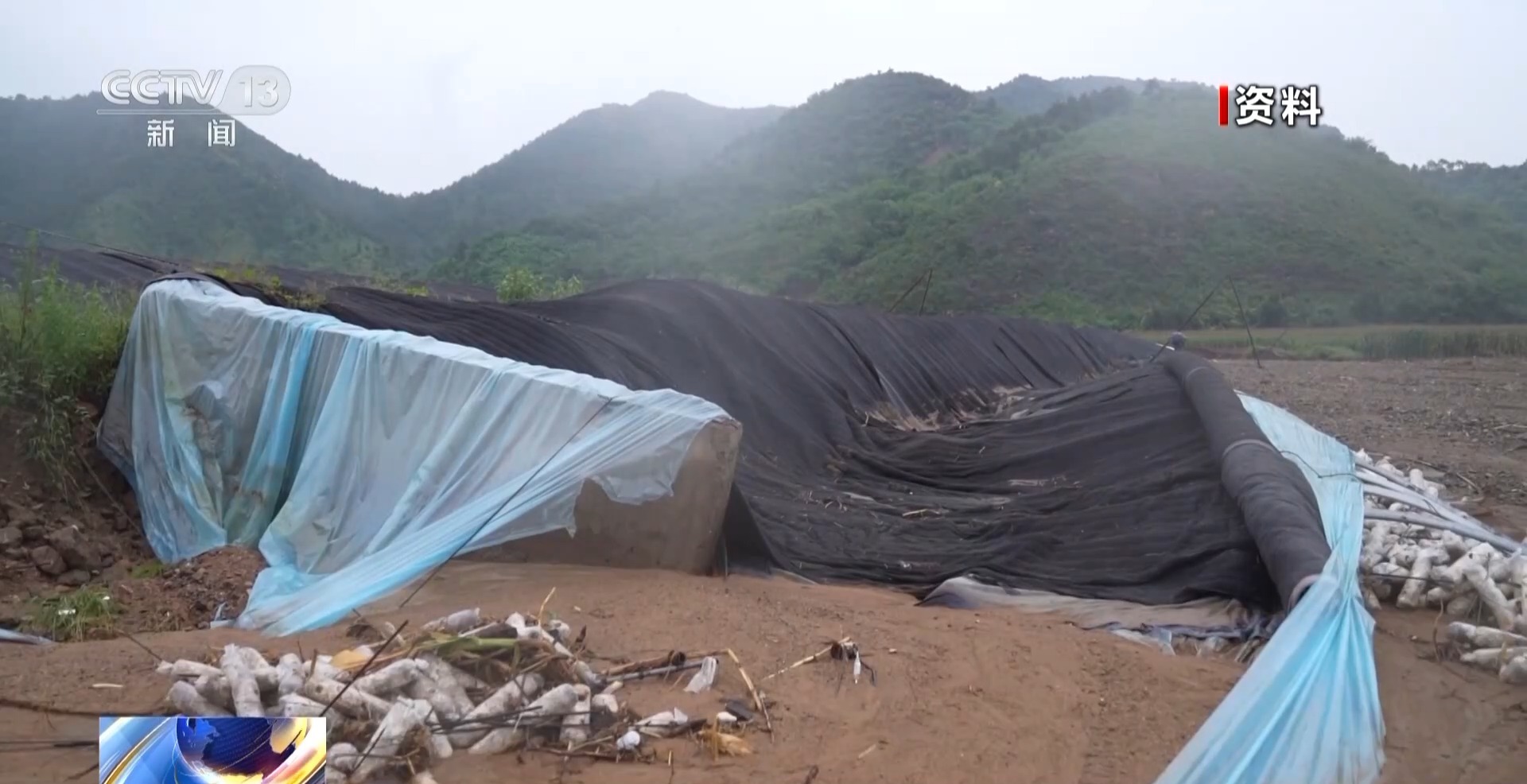
杭州各大医院黄牛代挂号电话票贩子号贩子网上预约挂号,住院检查加快,新春走基层丨遭受重创→焕发生机 来看养马甸子乡香菇宝宝的重生日记