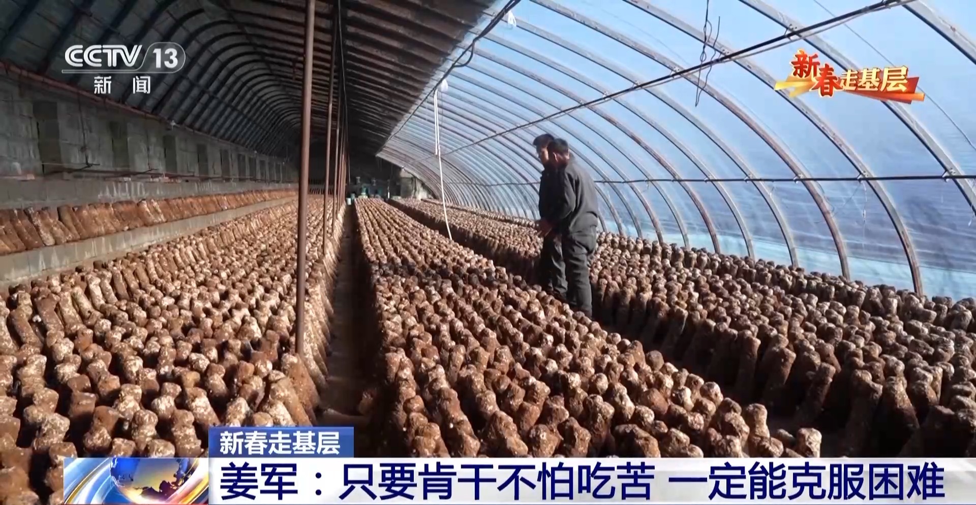 
杭州各大医院黄牛代挂号电话票贩子号贩子网上预约挂号,住院检查加快,新春走基层丨遭受重创→焕发生机 来看养马甸子乡香菇宝宝的重生日记