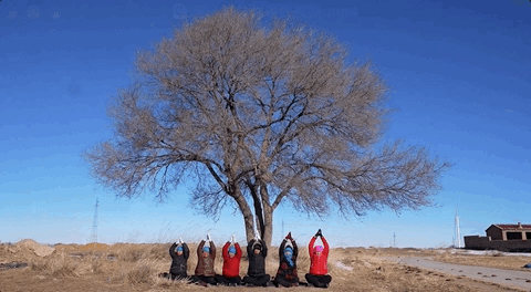 
浙江第二医院黄牛代挂号电话票贩子号贩子网上预约挂号,住院检查加快,新春走基层｜一场村晚 让过气网红村又“燃”了起来