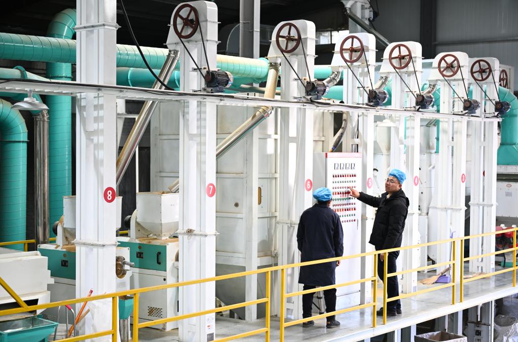 
北京大学第六医院黄牛代挂号电话票贩子号贩子网上预约挂号,住院检查加快,密集组织招聘、加力稳岗扩岗——2025年开年稳就业观察