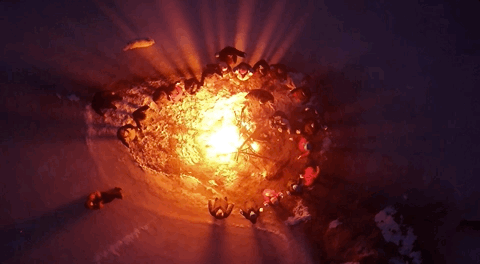 
浙江第二医院黄牛代挂号电话票贩子号贩子网上预约挂号,住院检查加快,新春走基层｜一场村晚 让过气网红村又“燃”了起来