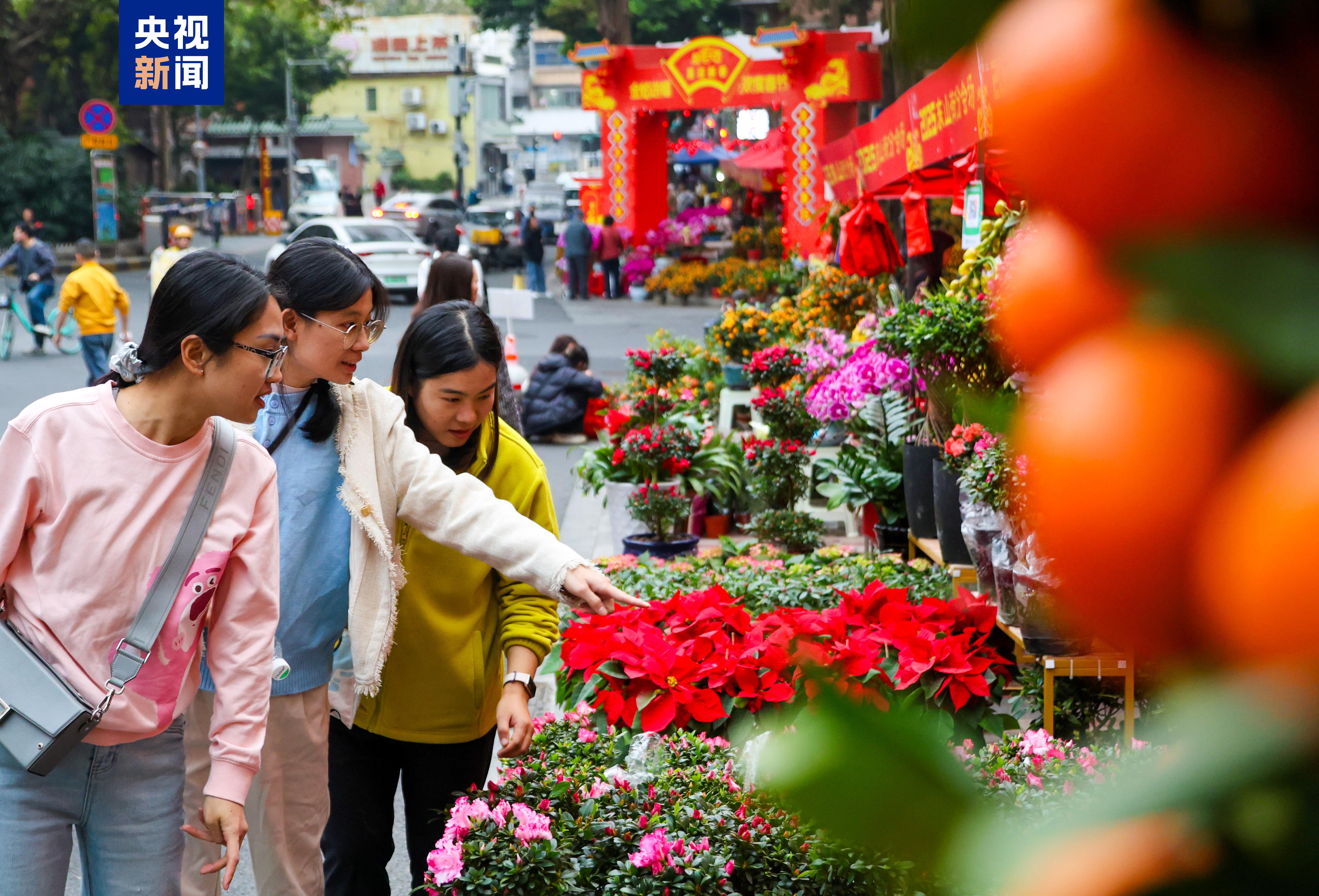 
北京301医院黄牛代挂号电话票贩子号贩子网上预约挂号,住院检查加快,美好时光里 湾区花正开