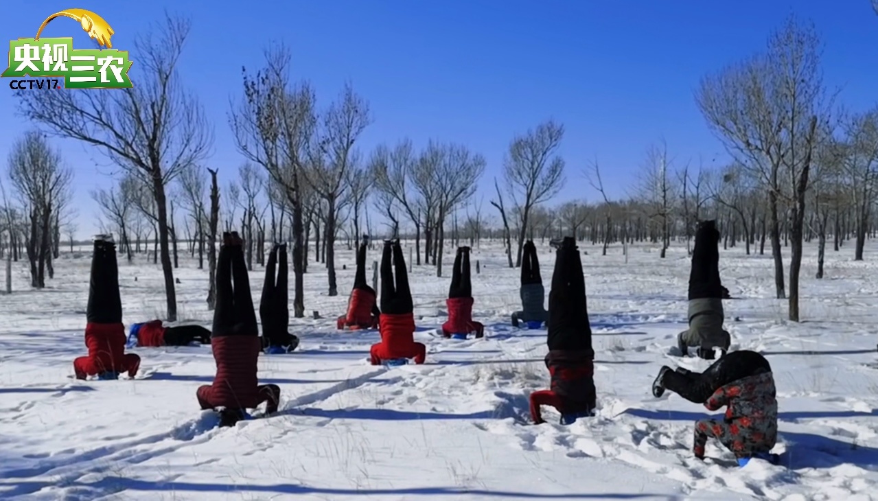 
浙江第二医院黄牛代挂号电话票贩子号贩子网上预约挂号,住院检查加快,新春走基层｜一场村晚 让过气网红村又“燃”了起来