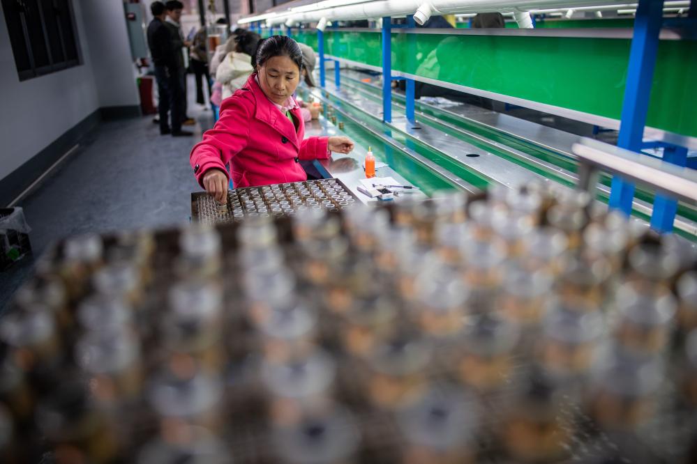 
北京大学第六医院黄牛代挂号电话票贩子号贩子网上预约挂号,住院检查加快,密集组织招聘、加力稳岗扩岗——2025年开年稳就业观察