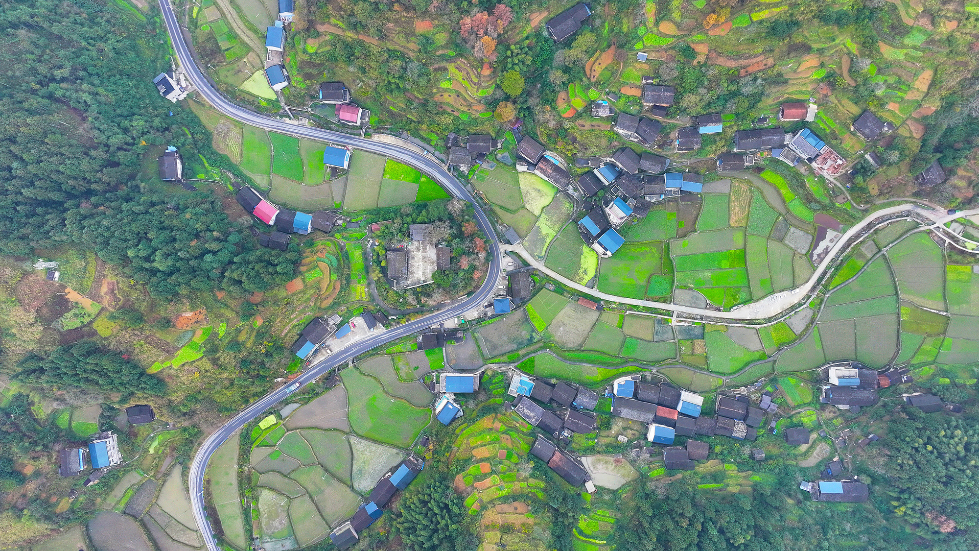 
长沙各大医院黄牛代挂号电话票贩子号贩子网上预约挂号,住院检查加快,【央广时评】“四好农村路”，是回乡路也是“奔富路”