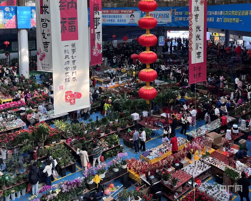 
北京安定医院黄牛代挂号电话票贩子号贩子网上预约挂号,住院检查加快,大市场看中国年 | 云南：斗南花卉购销两旺 满城皆是“年味”香