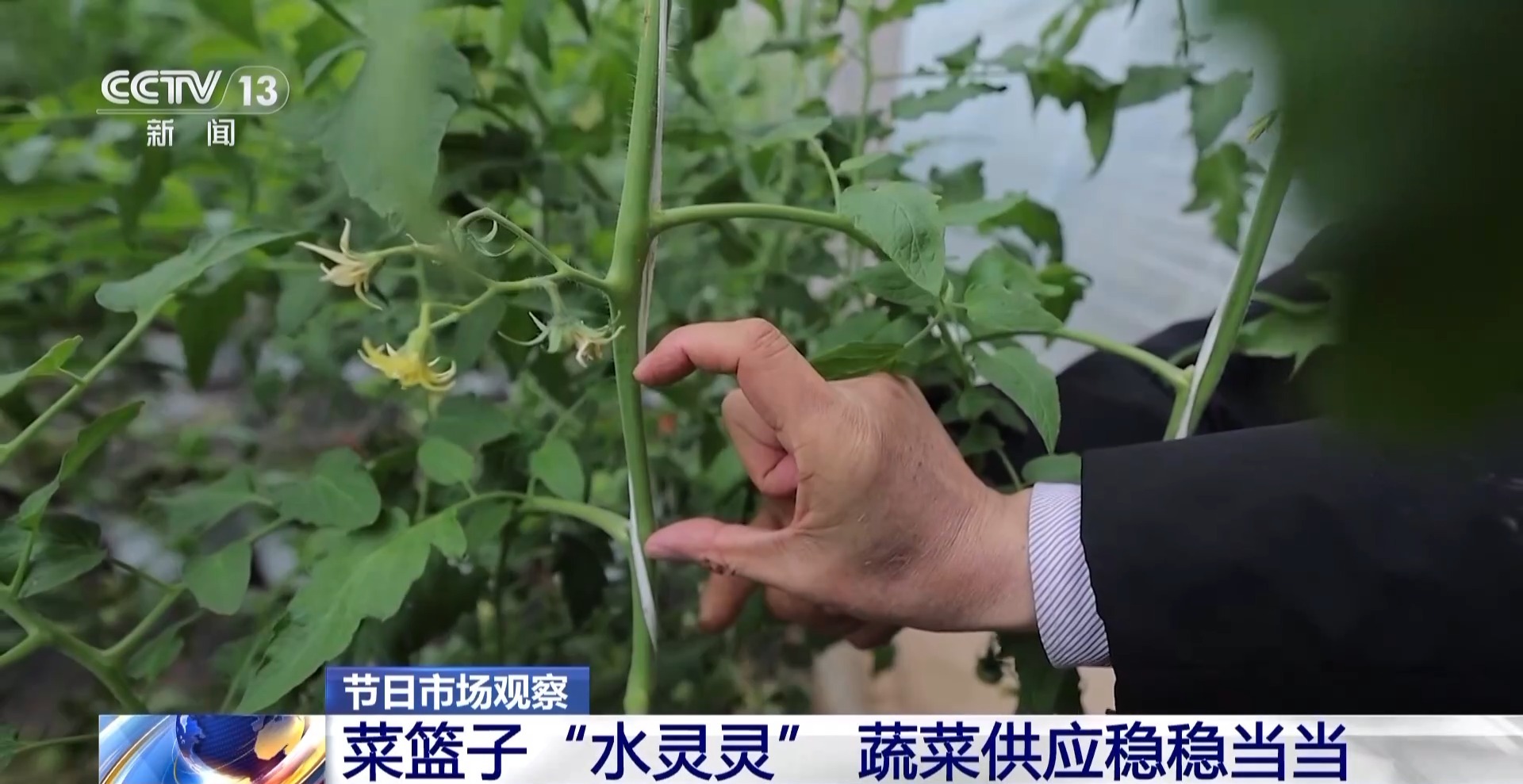 
北京西苑医院黄牛代挂号电话票贩子号贩子网上预约挂号,住院检查加快,过年菜篮子“水灵灵” 大山里“豆贝”和沙漠里蔬菜都上线了