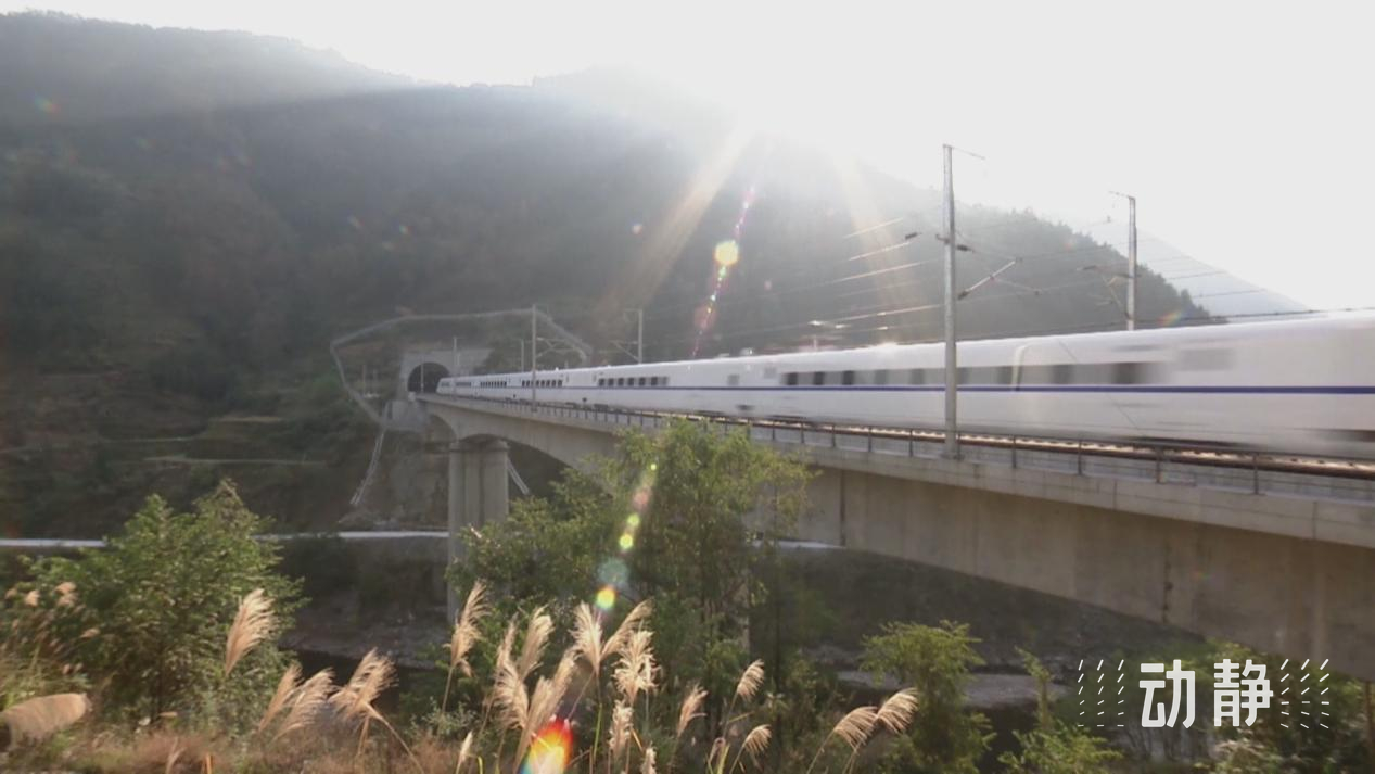 
南京脑科医院黄牛代挂号电话票贩子号贩子网上预约挂号,住院检查加快,新春走基层丨从30km/h到350km/h，跟着贵广高铁首发司机感受速度蝶变