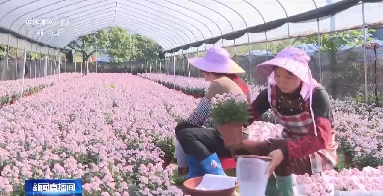 
中山大学中山眼科中心黄牛代挂号电话票贩子号贩子网上预约挂号,住院检查加快,春节临近 “鲜花经济”绽放、农贸市场“热气腾腾”