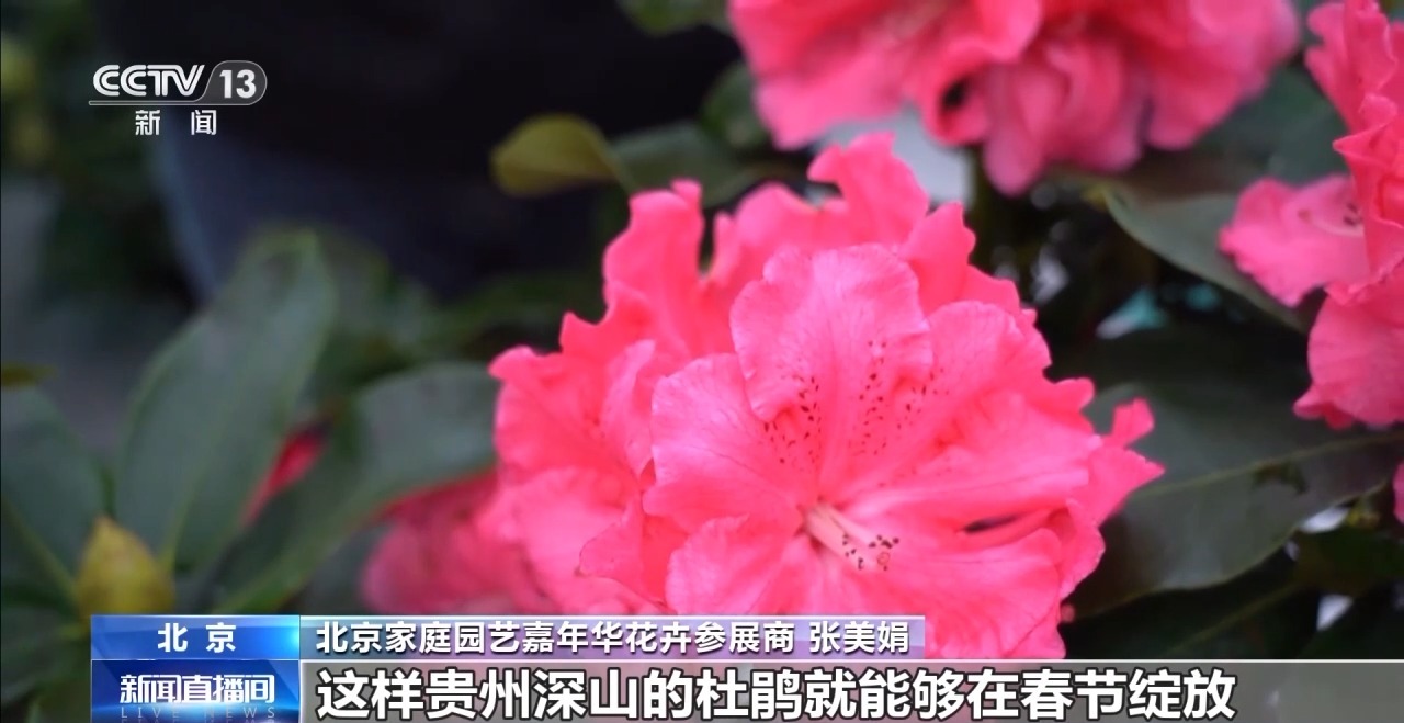 
中山大学中山眼科中心黄牛代挂号电话票贩子号贩子网上预约挂号,住院检查加快,春节临近 “鲜花经济”绽放、农贸市场“热气腾腾”