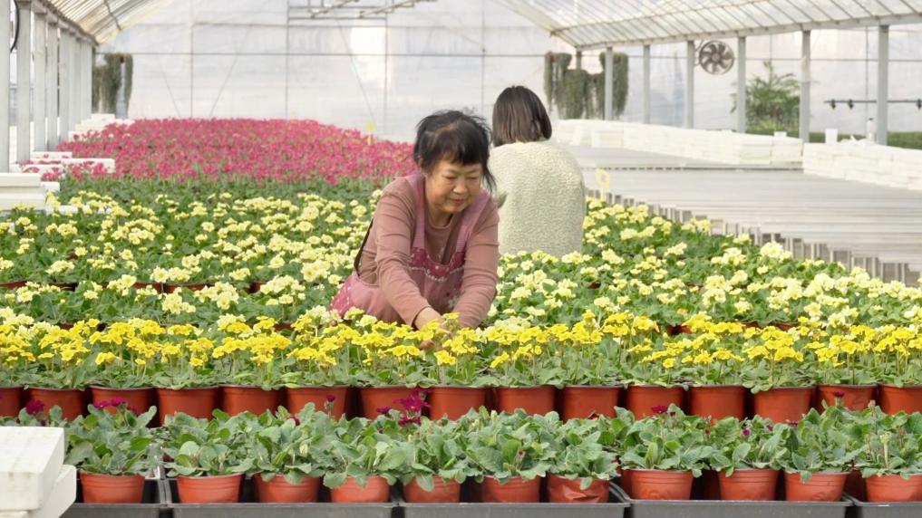 
南京市中医院黄牛代挂号电话票贩子号贩子网上预约挂号,住院检查加快,新华视点｜节前消费市场涌动新活力
