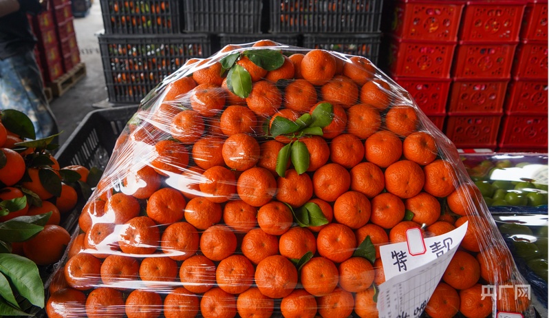 
杭州市第一人民医院黄牛代挂号电话票贩子号贩子网上预约挂号,住院检查加快,大市场看中国年丨广西：“年味”管够 “砂糖橘自由”升腾新年氛围