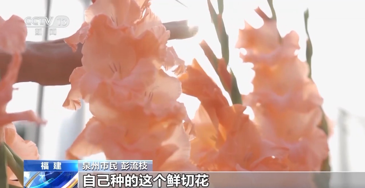 
北京儿研所黄牛代挂号电话票贩子号贩子网上预约挂号,住院检查加快,机票、葫芦丝、冰鞋……思路打开！年货可以这样备→