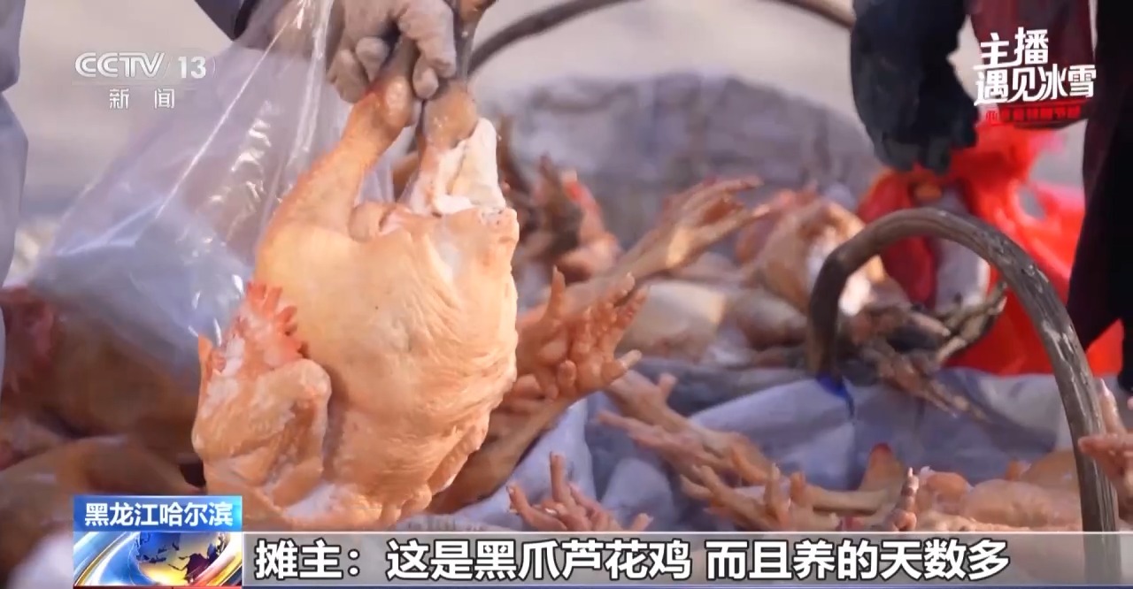 
北大第一医院黄牛代挂号电话票贩子号贩子网上预约挂号,住院检查加快,主播遇见冰雪丨走，逛东北大集！爱的就是这份烟火气