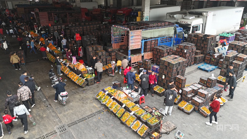 
杭州市第一人民医院黄牛代挂号电话票贩子号贩子网上预约挂号,住院检查加快,大市场看中国年丨广西：“年味”管够 “砂糖橘自由”升腾新年氛围