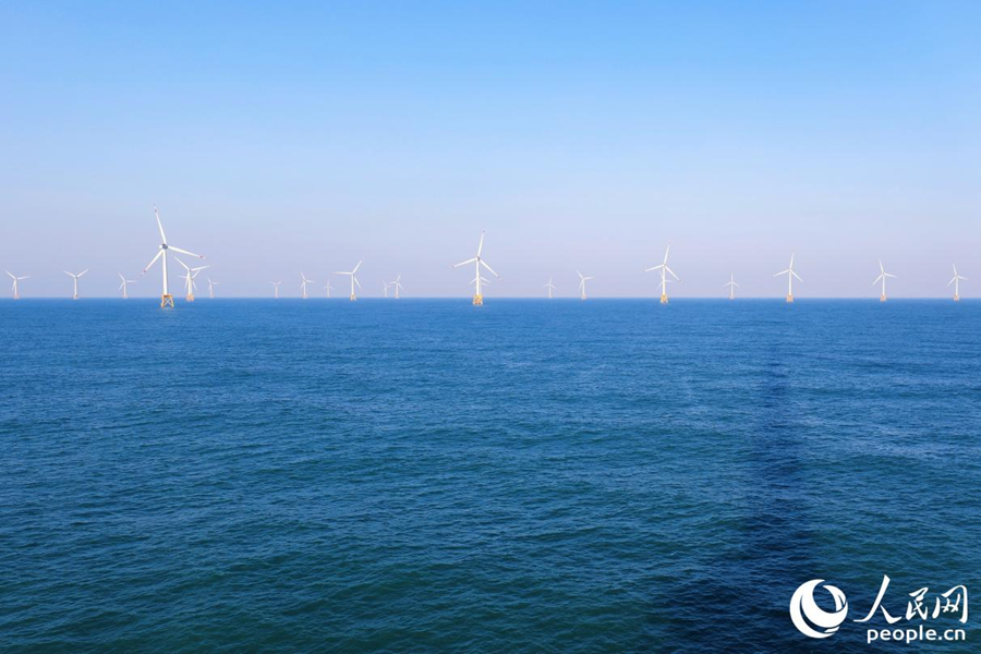 北京大学肿瘤医院黄牛代挂号电话票贩子号贩子网上预约挂号,住院检查加快,新春走基层|出海!修“风车”